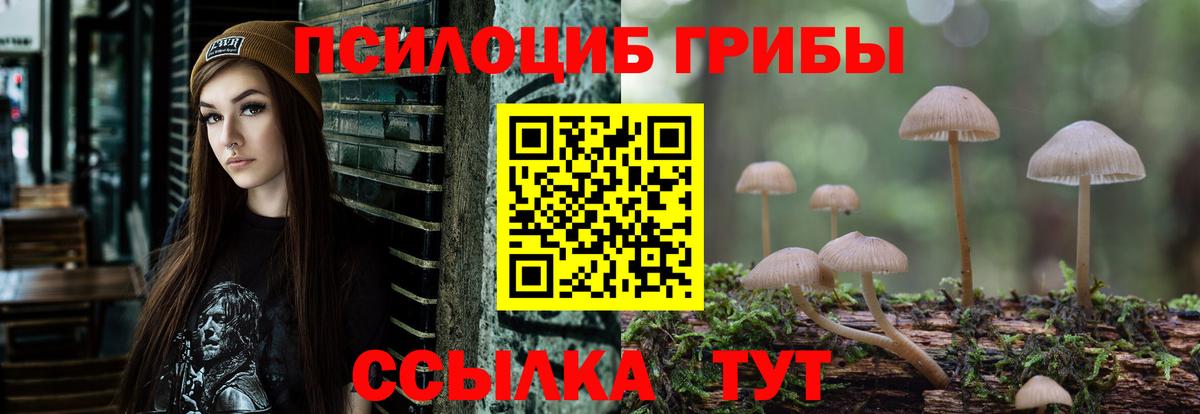 Воскресенск  магазин продажи   Псилоцибиновые грибы мицелий  Вход с VPN  Галлюциногенные грибы Psilocybine cubensis 